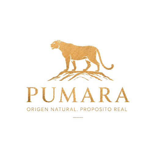 Pumara
